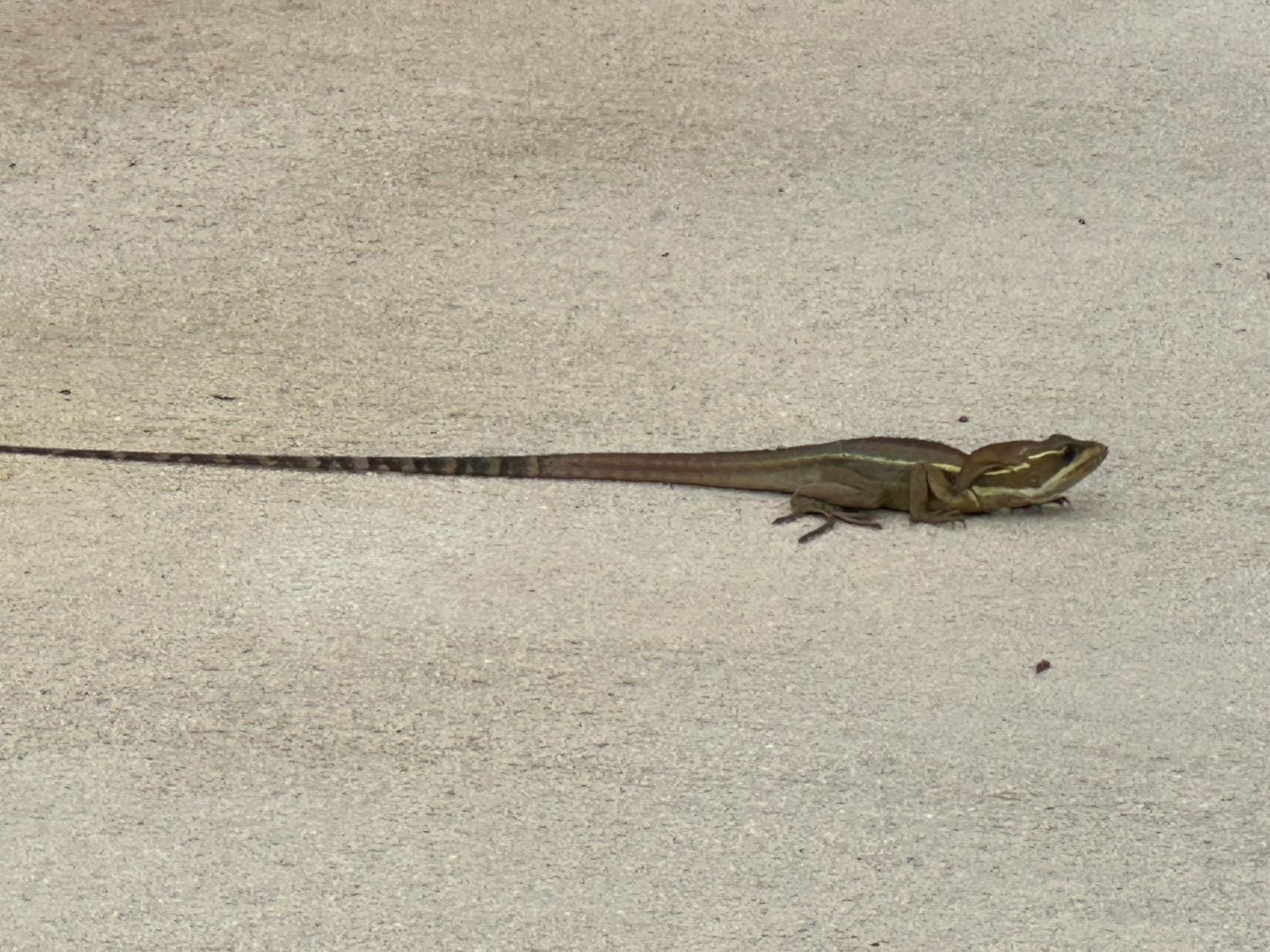 2023 MSC Italy Cruise: Atlantic & Mediterranean Odyssey